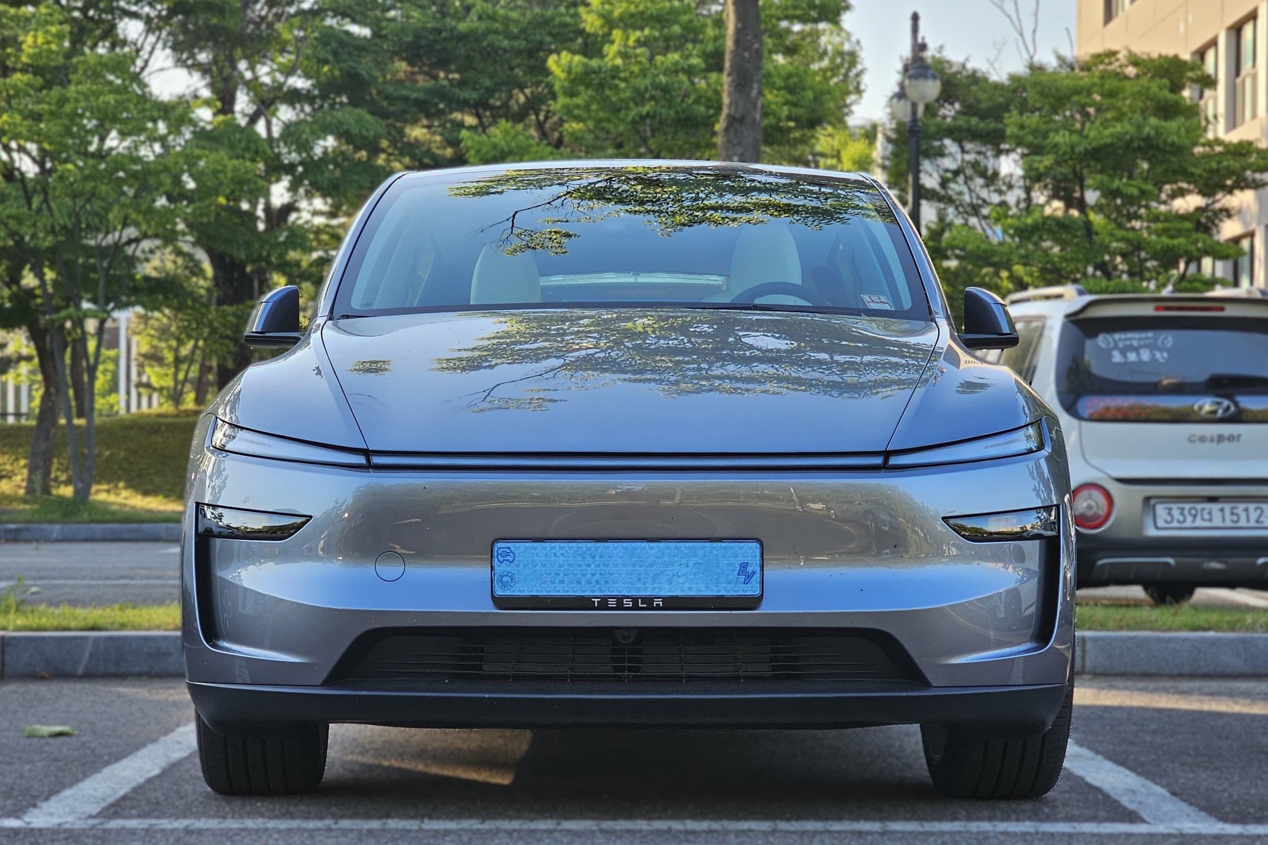 Tesla Model Y model image