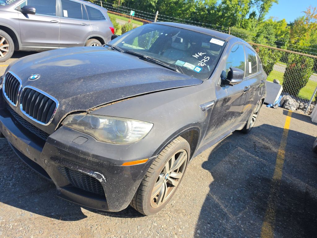 2010 BMW X6 M photo
